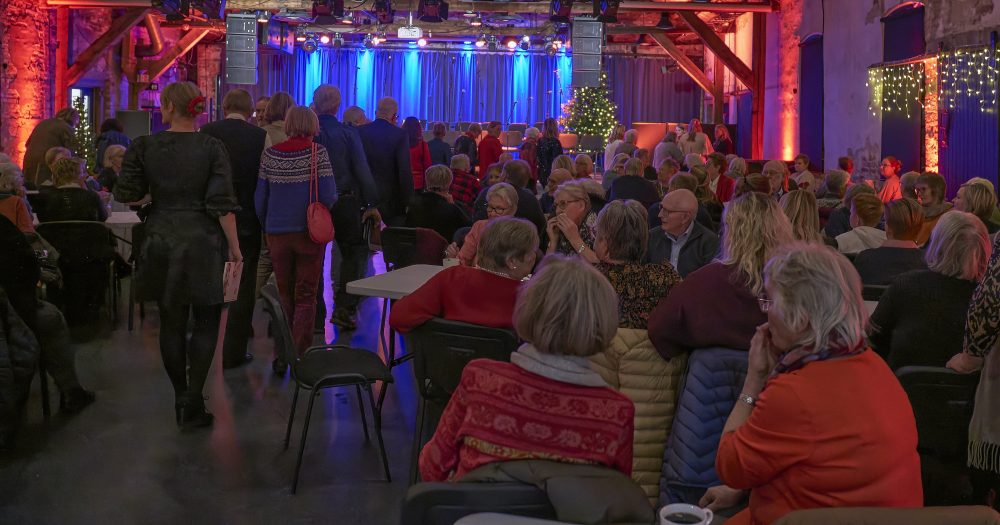 Halden Demenskor