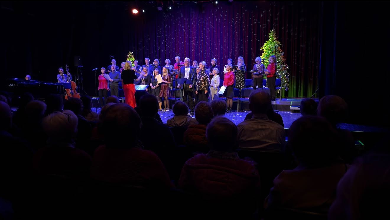 Julekonsert med Halden Demenskor i Brygga kultursal
